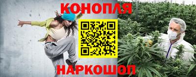 стафф Малгобек