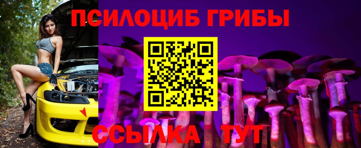 Грозный  Галлюциногенные грибы Psilocybe  Вход с VPN 